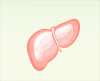 世界肝炎日，要保护好你的心“肝”宝贝呦