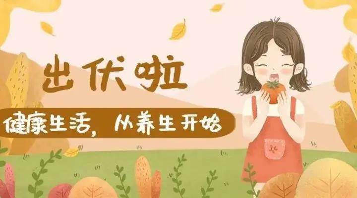 一份出伏養(yǎng)生小指南，注意查收吶