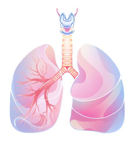 关爱健康 “肺”常重要，警惕趁“冷”打劫