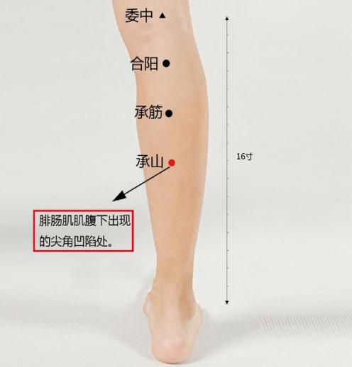 腿抽筋到底咋回事？關(guān)于抽筋的知識(shí)你想了解的都在這了！