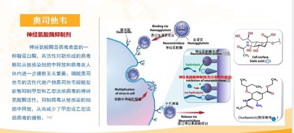 你還不知道流行性感冒通鼻塞吃奧司他韋見效嗎？