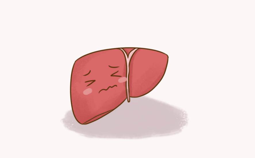 乙型肝炎能吃护肝片吗