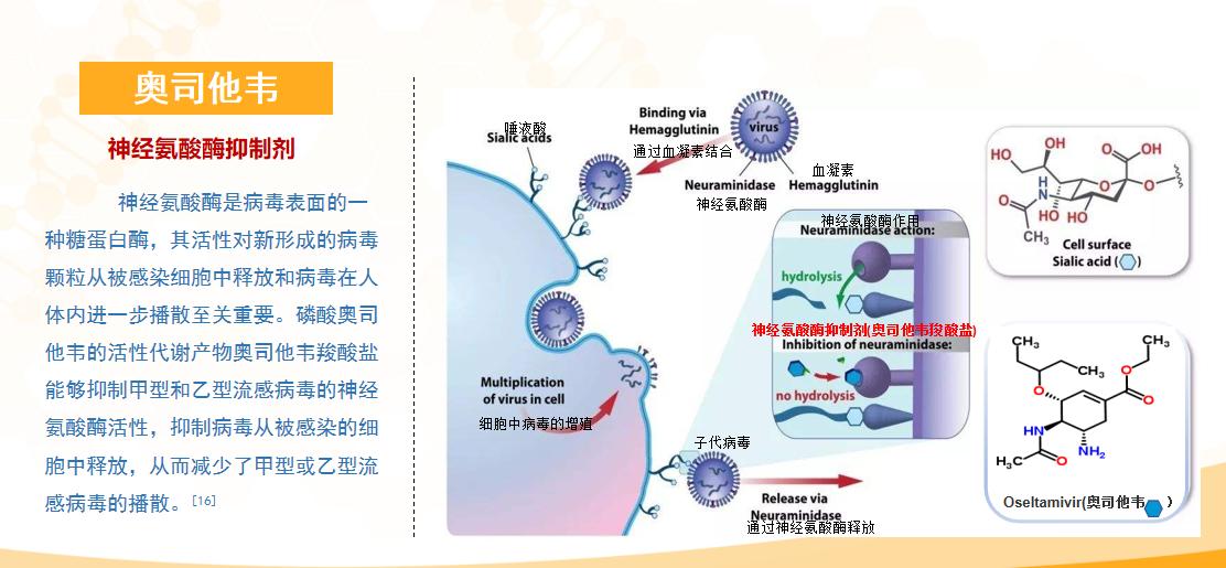 小兒的抗病毒顆粒有哪些？如何選擇呢？