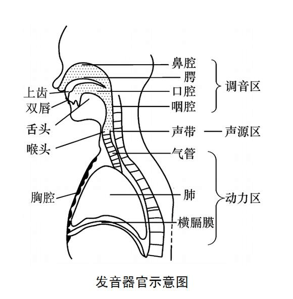 你的嗓子還好嗎?超實用護嗓手冊