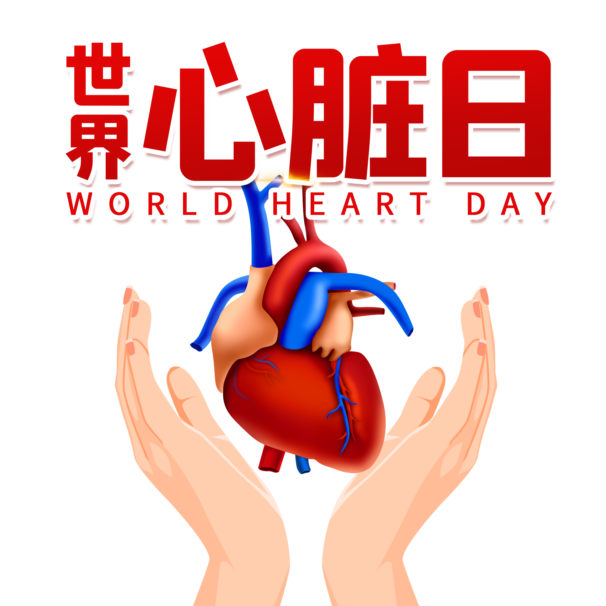 【世界心脏日】关注健康 从“心”开始