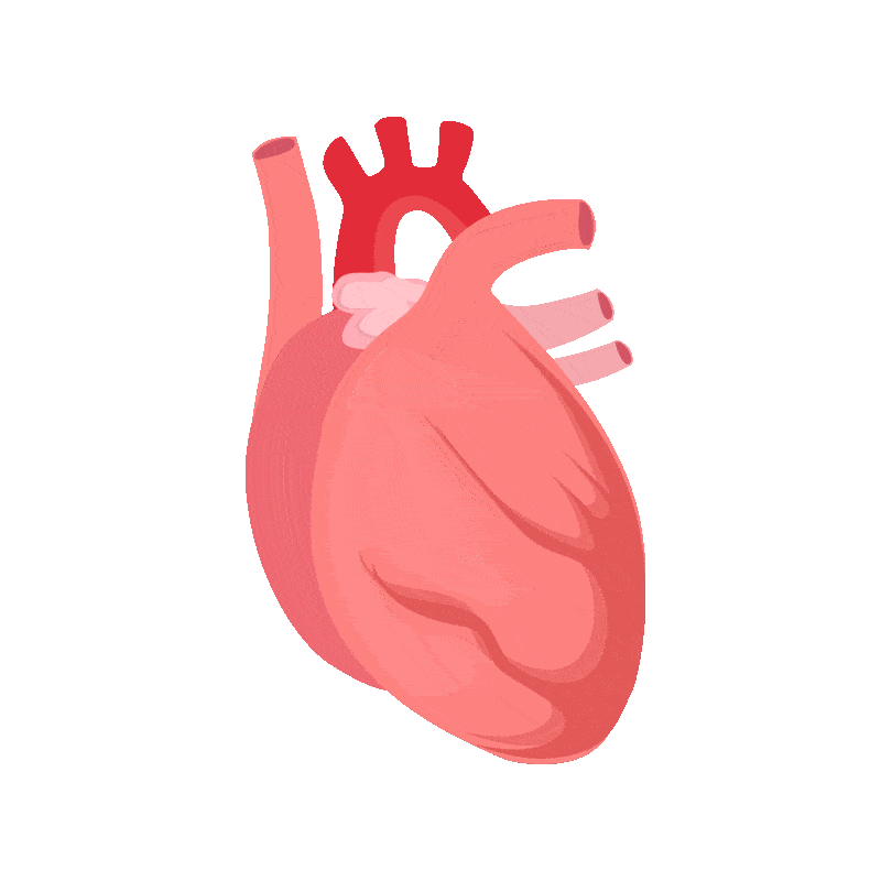 【世界心脏日】关注健康 从“心”开始