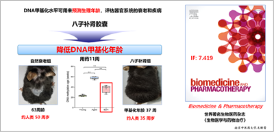 吳以嶺院士首次構(gòu)建氣絡學說精氣神理論并指導抗衰老 研究取得重大突破