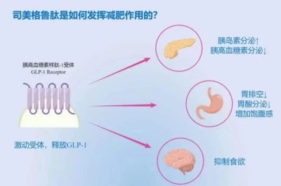 唐朝以肥為美？這是個誤會！ 體重與情緒的雙重管理：烏靈膠囊助力司美格魯肽的減重之旅