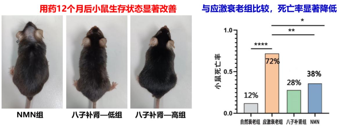 中藥抗衰成果登上國際期刊，或攻克西方科研難題